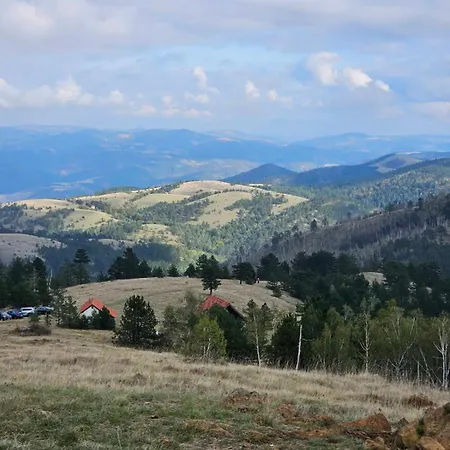 Borovi 3 - Zagrljaj Prirode * Divcibare