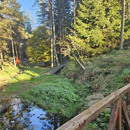 Apartment Borovi 3 - Zagrljaj Prirode